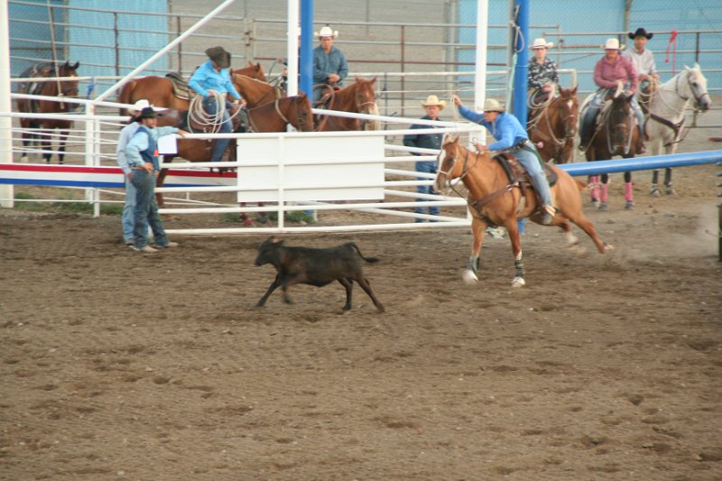 Trip (195).JPG - Cattle roping at the Cody, Wyoming rodeo
